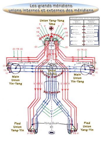 Formation Qi Gong Pro Méridiens