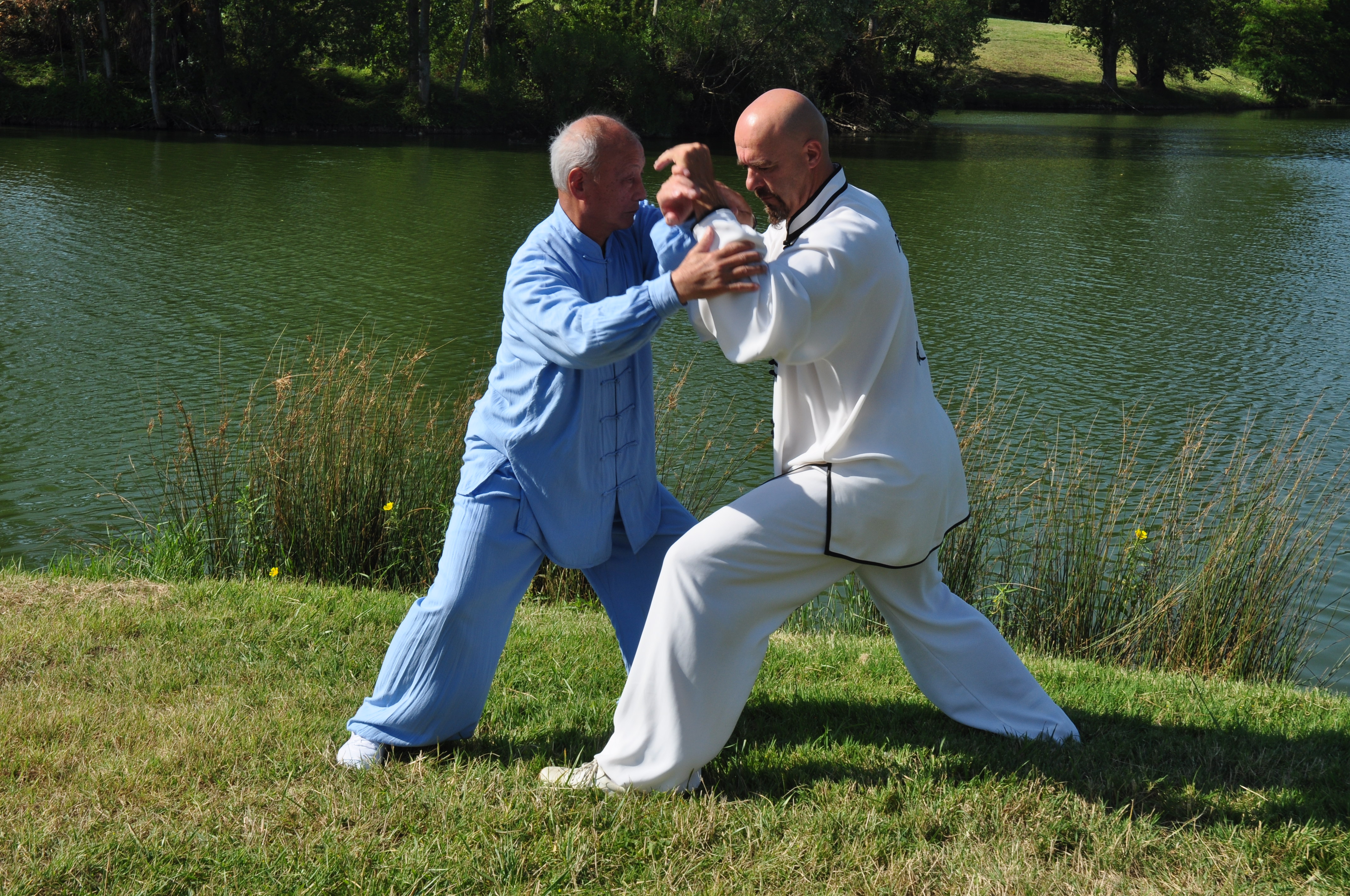 Tuishou avec Ding Dahong  et Jean-Jacques Galinier